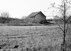 barns-prince-edward-county-ontario-series-1-black-and-white-06.jpg barns-prince-edward-county-ontario-series-1-black-and-white-06.jpg