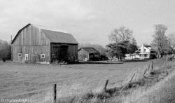 barns-prince-edward-county-ontario-series-1-black-and-white-09.jpg barns-prince-edward-county-ontario-series-1-black-and-white-09.jpg