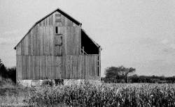 barns-prince-edward-county-ontario-series-1-black-and-white-11.jpg barns-prince-edward-county-ontario-series-1-black-and-white-11.jpg