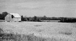 barns-prince-edward-county-ontario-series-1-black-and-white-13.jpg barns-prince-edward-county-ontario-series-1-black-and-white-13.jpg
