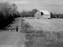 barns-prince-edward-county-ontario-series-1-black-and-white-14.jpg barns-prince-edward-county-ontario-series-1-black-and-white-14.jpg