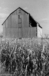 barns-prince-edward-county-ontario-series-1-black-and-white-15.jpg barns-prince-edward-county-ontario-series-1-black-and-white-15.jpg