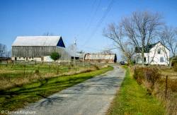 barns-prince-edward-county-ontario-series-2-colour-02.jpg