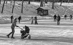 montreal-quebec-street-scenes-montrealers-on-streets-at-mount-royal-chalet-at-table-03.jpg