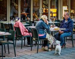 montreal-quebec-street-scenes-montrealers-on-streets-at-mount-royal-chalet-at-table-07.jpg